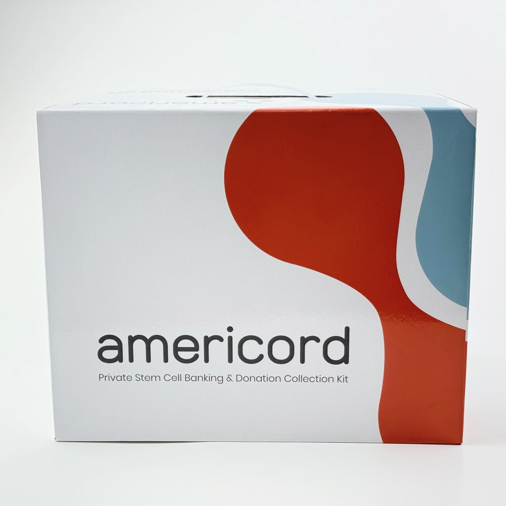 Portable Folding Shipping Carton With Die-Cut Handles Recyclable Corrugated Mailer Box Custom Logo For Fruit Gift Apparel Cosmetic E-commerce Delivery Packaging