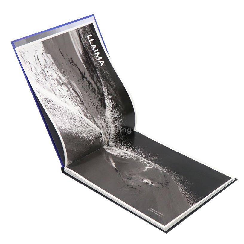 Professional Custom Hardcover Air Photo Book Printing Full CMYK Layflat Photo Album Custom Logo Wedding Portrait Art Gallery Hardcover Catalog Printing Service