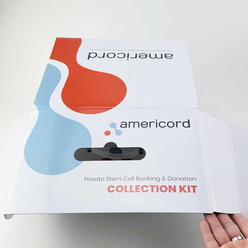 Portable Folding Shipping Carton With Die-Cut Handles Recyclable Corrugated Mailer Box Custom Logo For Fruit Gift Apparel Cosmetic E-commerce Delivery Packaging