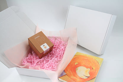 Corrugated Paper Gift Carton Custom Logo Printed Foldable Aircraft Mailer Box Eco Recyclable Shipping Box Apparel Cosmetic Wedding Hamper Packaging OEM Wholesale