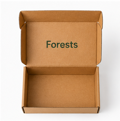 Custom Printed Kraft Corrugated Packaging Box Eco Recyclable Foldable Aircraft Mailer Box Custom Logo Print Apparel Cosmetic Gift Shipping Carton OEM Wholesale