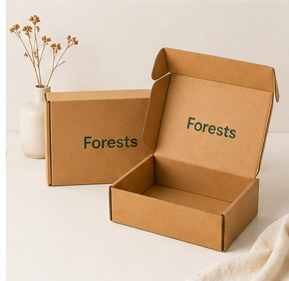 Custom Printed Kraft Corrugated Packaging Box Eco Recyclable Foldable Aircraft Mailer Box Custom Logo Print Apparel Cosmetic Gift Shipping Carton OEM Wholesale