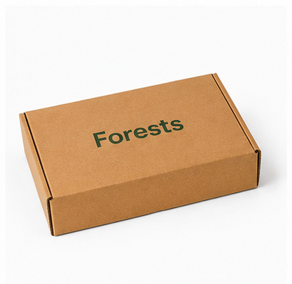Custom Printed Kraft Corrugated Packaging Box Eco Recyclable Foldable Aircraft Mailer Box Custom Logo Print Apparel Cosmetic Gift Shipping Carton OEM Wholesale