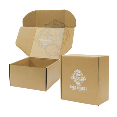 Wholesale Custom Printed Eco-Friendly Premium Corrugated Cardboard Shipping Boxes Corrug Mailer Logo Packaging Wholesale Boxes
