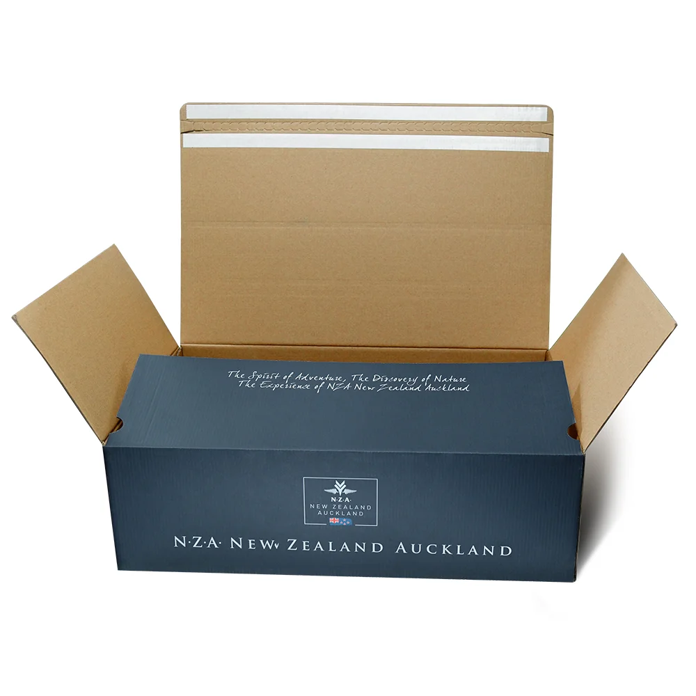 Wholesale Printed Autolock Tear Strip Zipper Paper Packaging Mailer Shipping Carton Boxes with Lid for Clothes Dresses