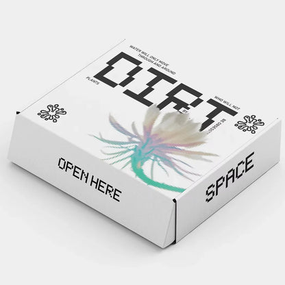 Manufacture Low Moq Biodegradable Paper Box Packaging Custom Recycled Shipping Box White Corrugated Mailer Box Glossy Lamination