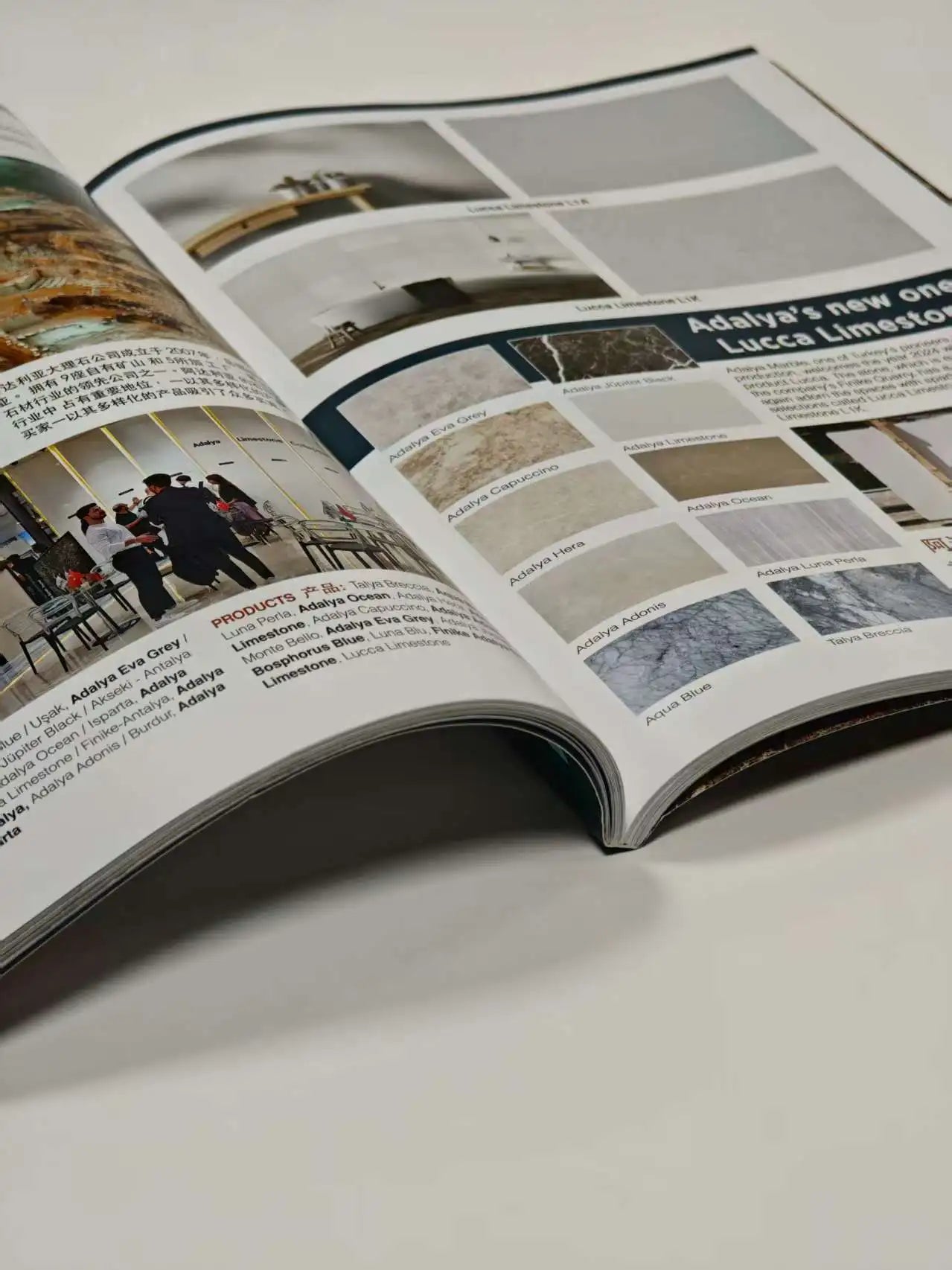 OEM Matt Lamination Cover Four-Color Printing Matt Art Paper Magazine Offset Printing Catalogue for Advertised Brochure