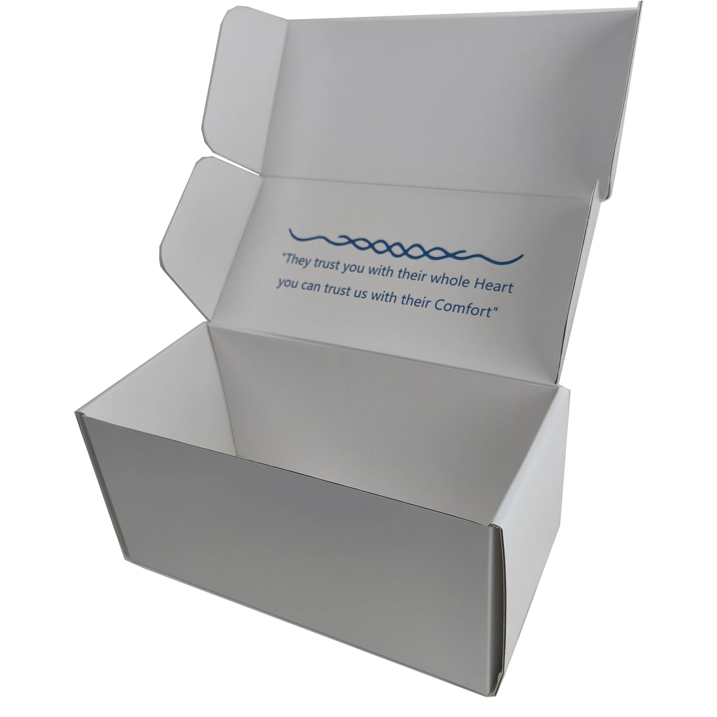 Custom Printed Paper Boxes Color UV Printing 1-5mm Thickness 5-20kg Load Pet E-commerce Packaging FSC ISO9001 Certified Factory