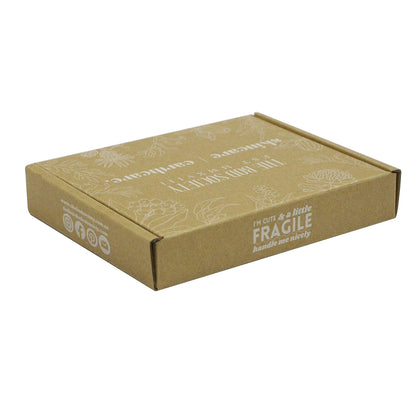 Folding Paper Box Custom Kraft Mailer Box Airplane Corrugated Carton Shipping Boxes Wholesale
