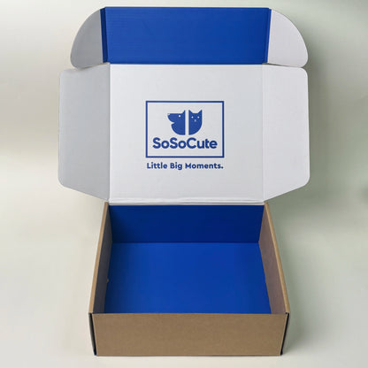 Eco-friendly Recyclable Biodegradable Custom Packaging Thick Paper Airplane Boxes Toy  Doll Gift Boxes