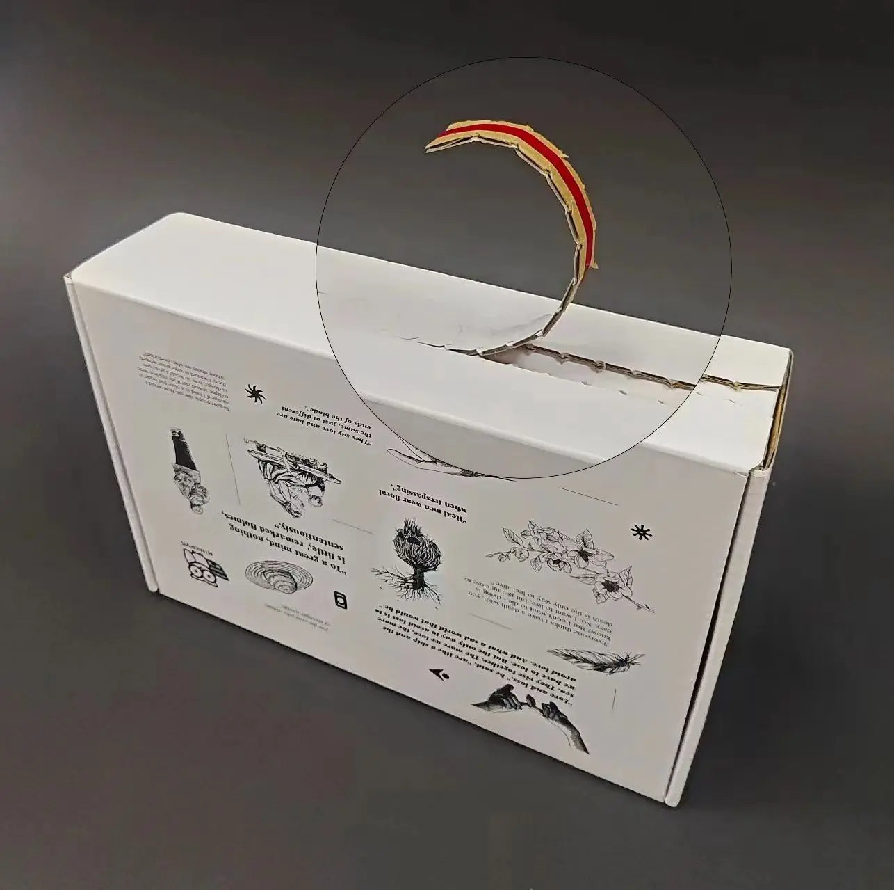 Wholesale Customizable Printed White Double Wall Corrugated Cardboard Paper Shipping Package Boxes Packaging for Cosmetics