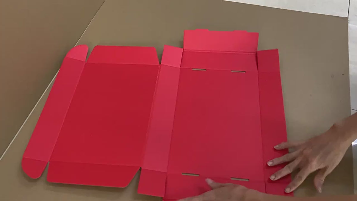 Načíst video: 